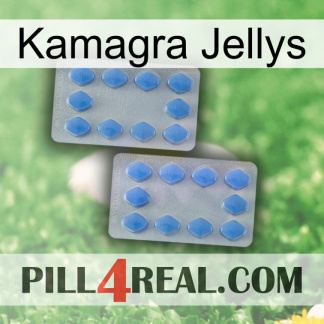 Kamagra Jellys 20